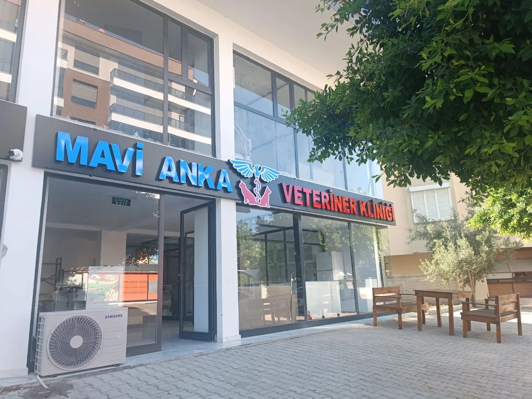 Mavi Anka Veteriner Kliniği | Antalya Finike Veteriner | Antalya Finike Acil Veteriner | Antalya Finike En İyi Veteriner